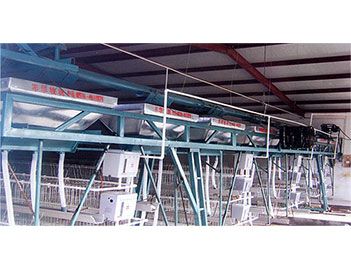 蛋、種雞自動(dòng)給料機(jī)